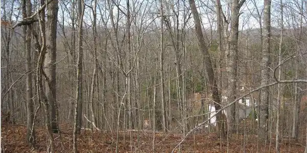 Image 3: Additional View