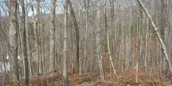 Image 4: Additional View