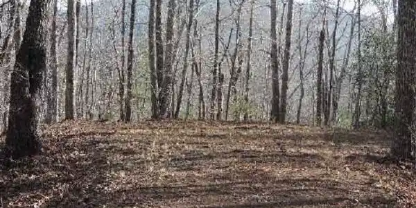 Lot 28 Mission Ridge Drive