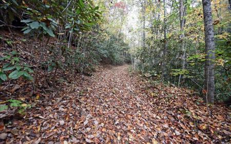 TBD Mclean Road