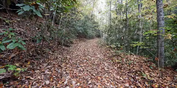 TBD Mclean Road