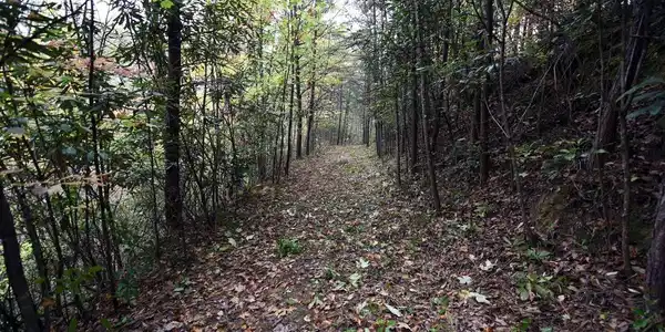 Image 2: Additional View