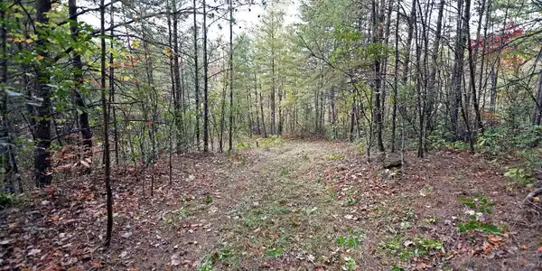 Image 3: Additional View