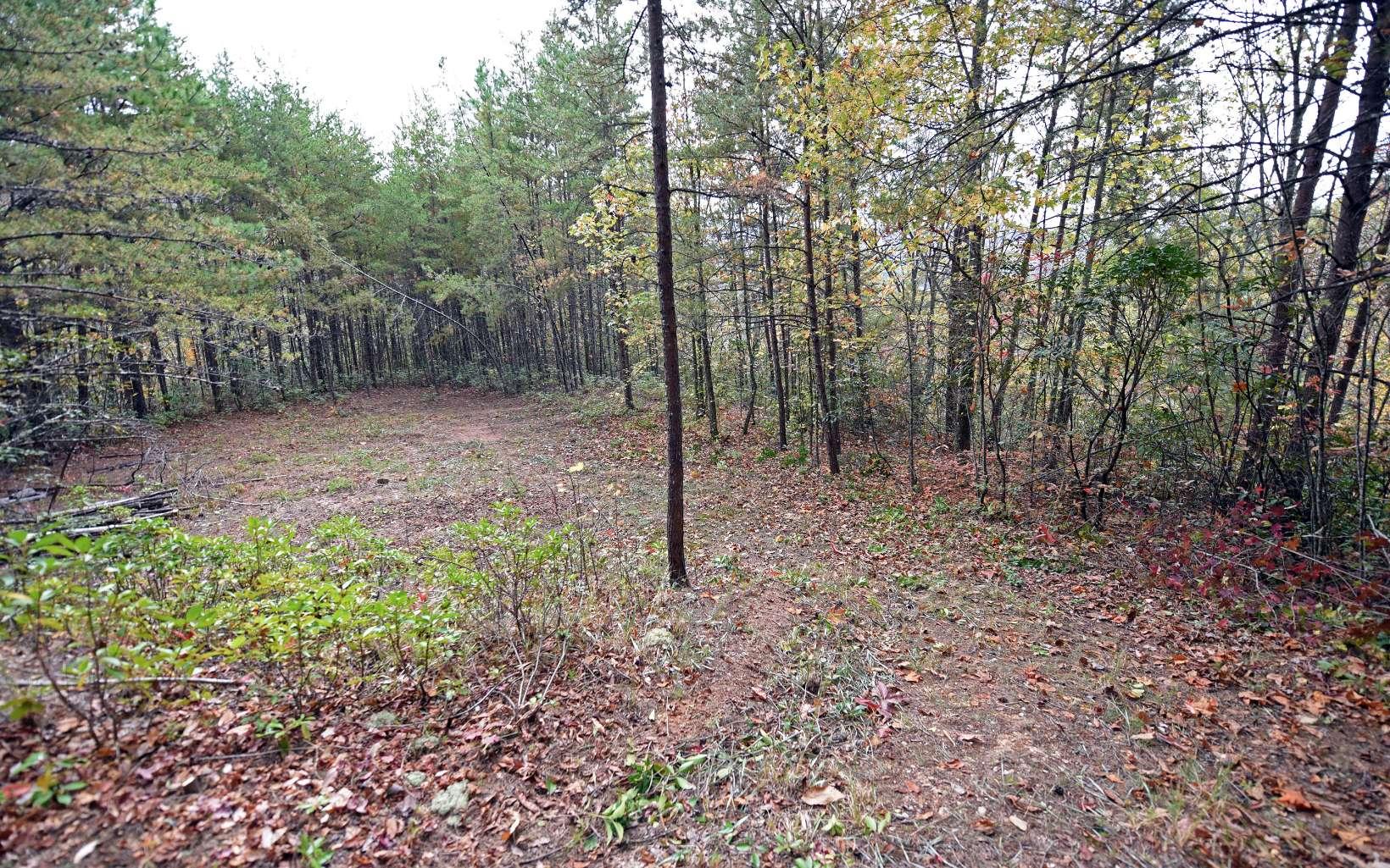 Image 4: Additional View