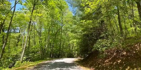 Peek And Peak Lane