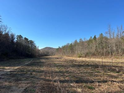11.43 ac Fain Branch Road