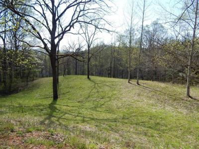 Lot 6 High Meadows