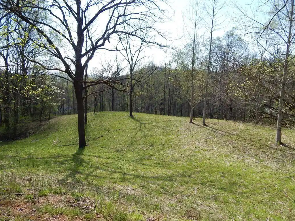 Image 1: Main View