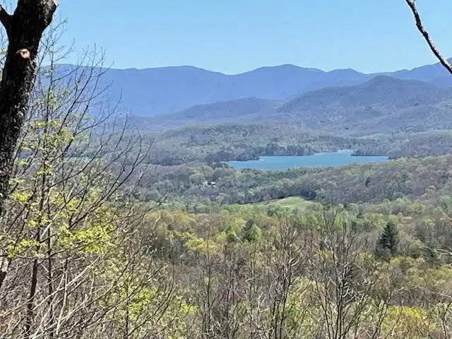 Image 1: Main View
