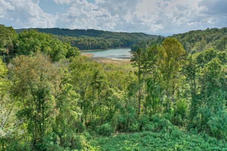 6.4 Acre Collins Road