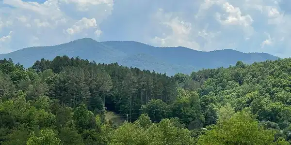 Lot 14B Saddle Ridge Farms