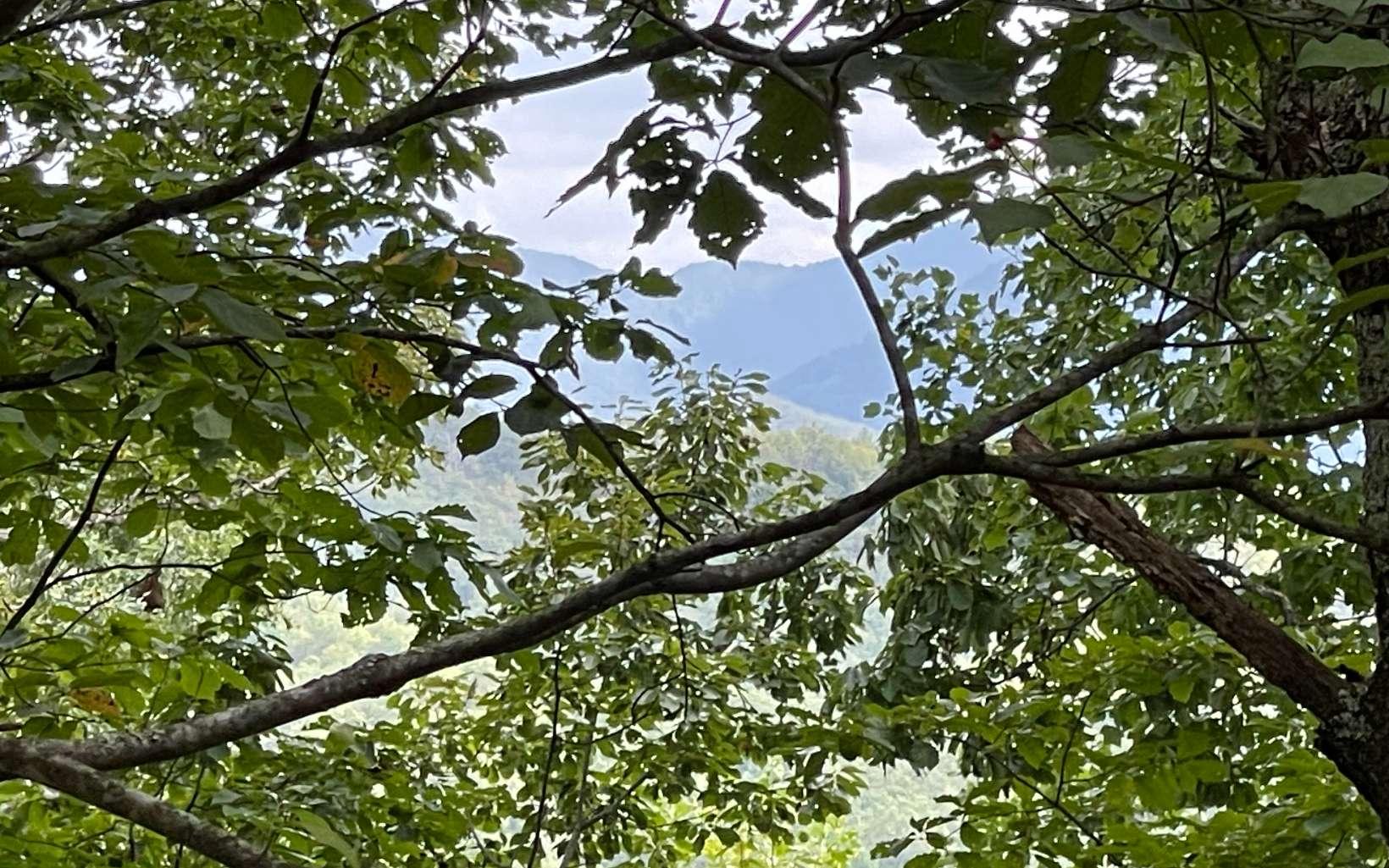 Image 2: Additional View