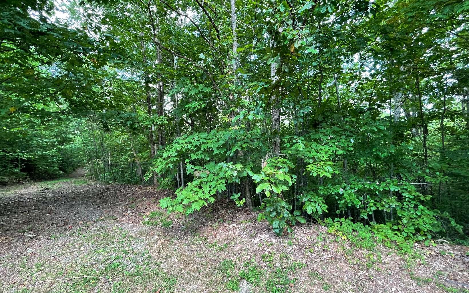 Image 4: Additional View