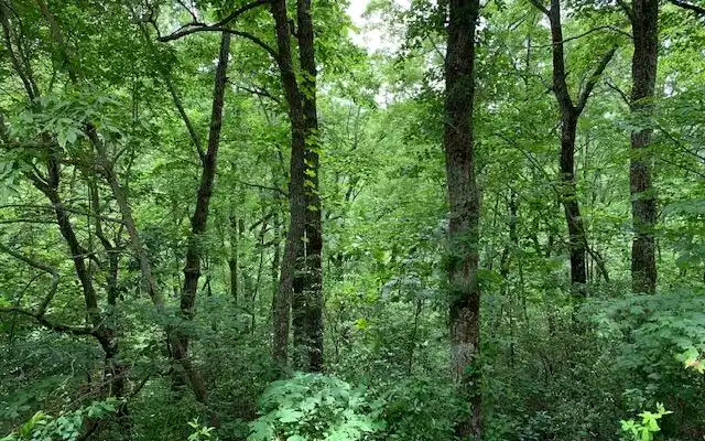 Image 1: Main View