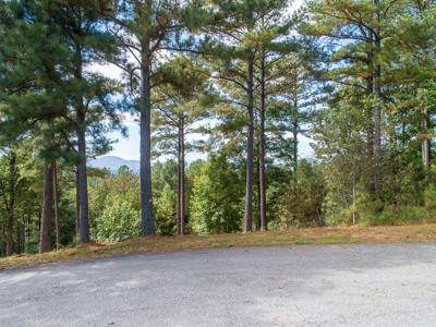 Lot 14 Mile High Lane