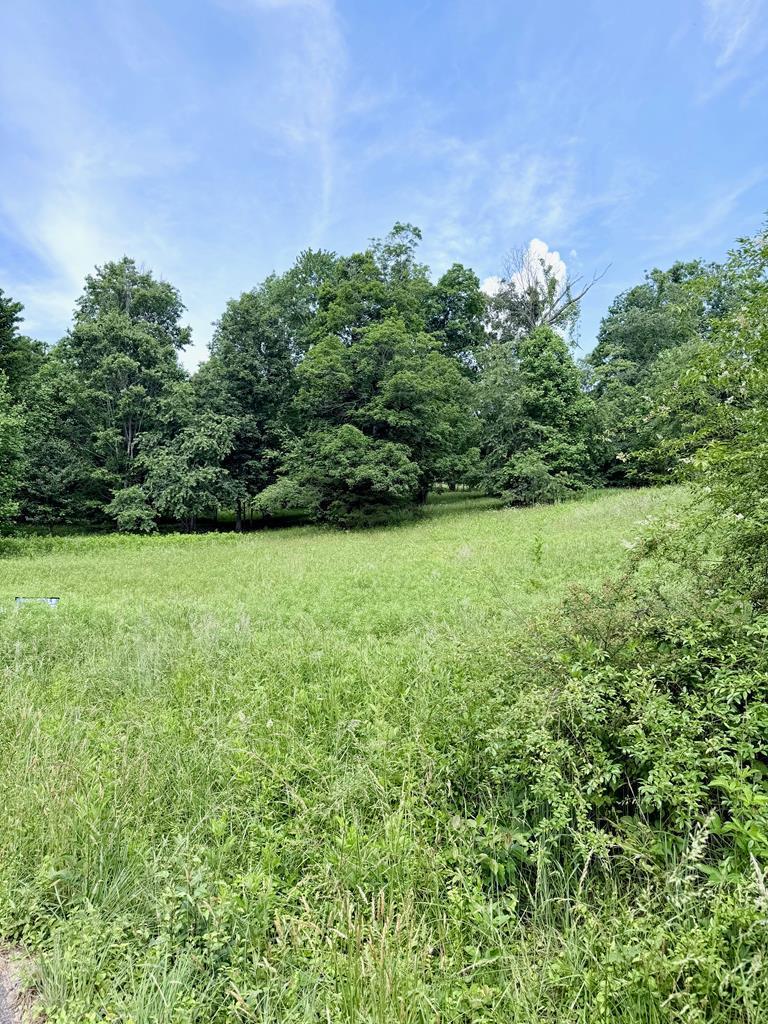 Image 1: Main View