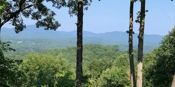 Image 2: Additional View