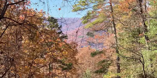 Lot 49 Fires Creek Cove Road