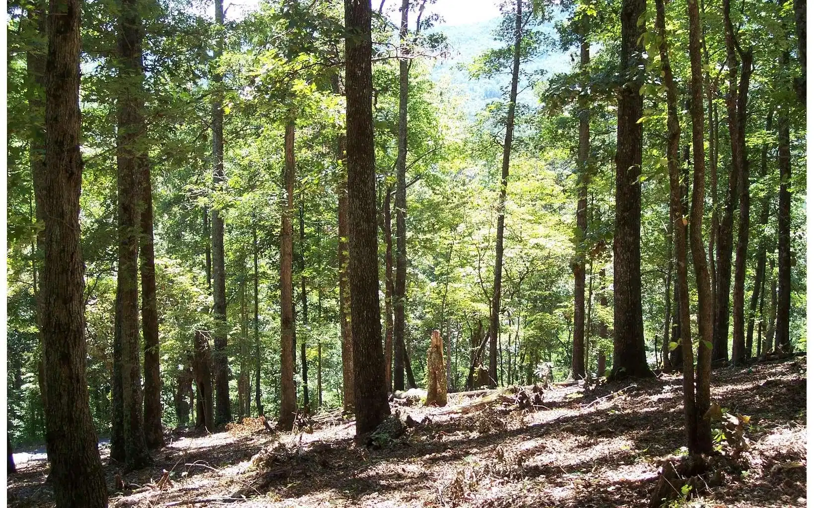 Image 1: Main View