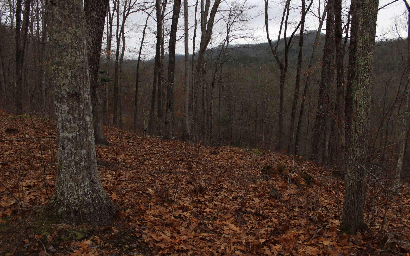 Image 2: Additional View