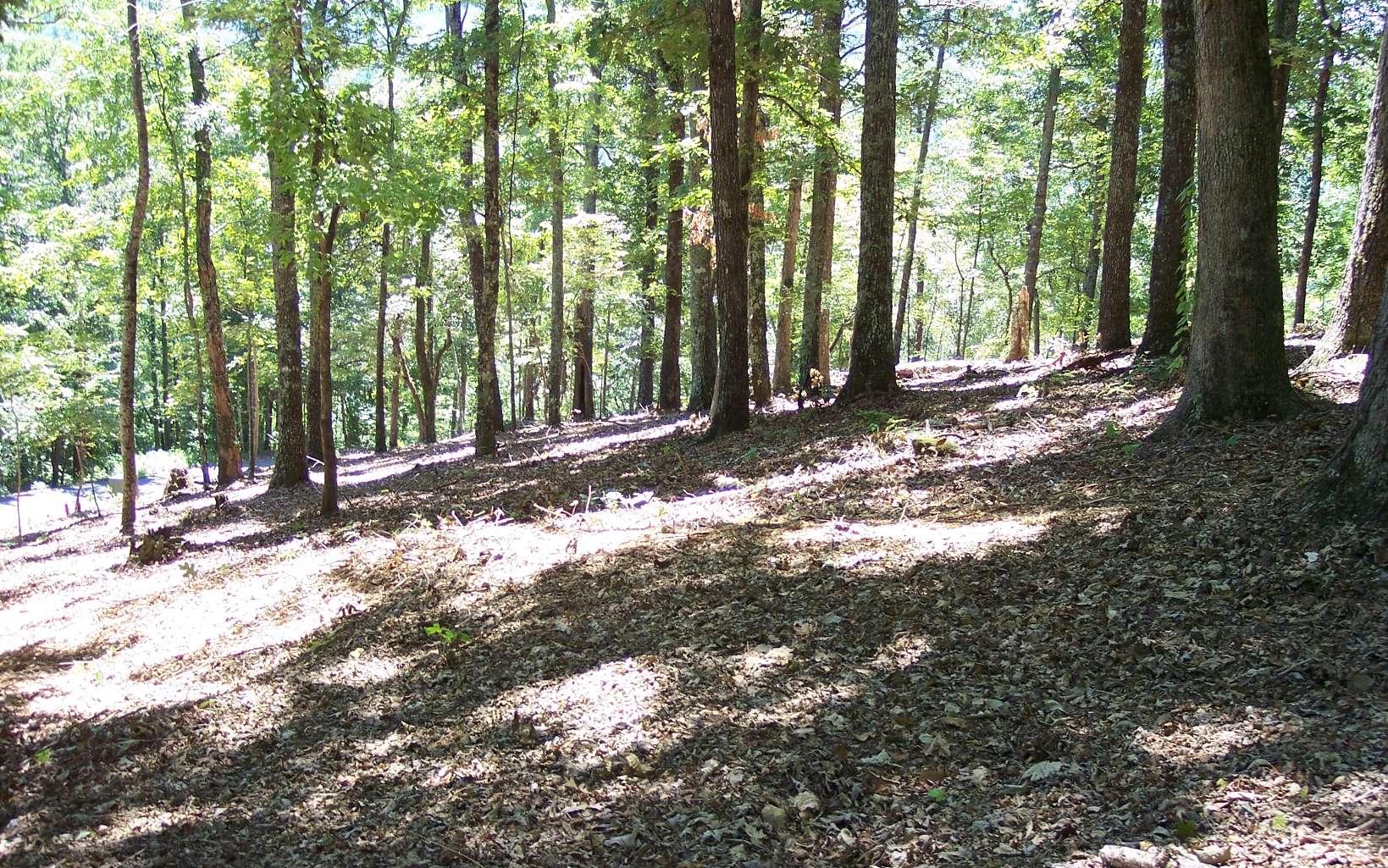 Image 4: Additional View