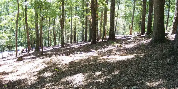 Image 4: Additional View