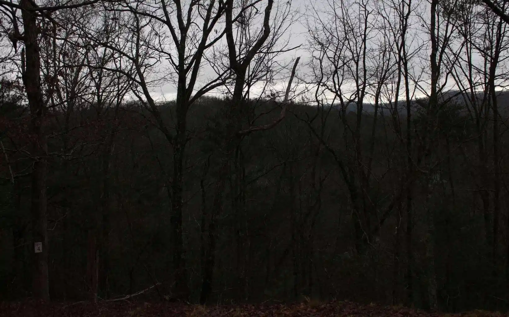 Image 1: Main View
