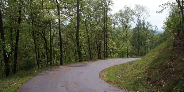 Image 3: Additional View