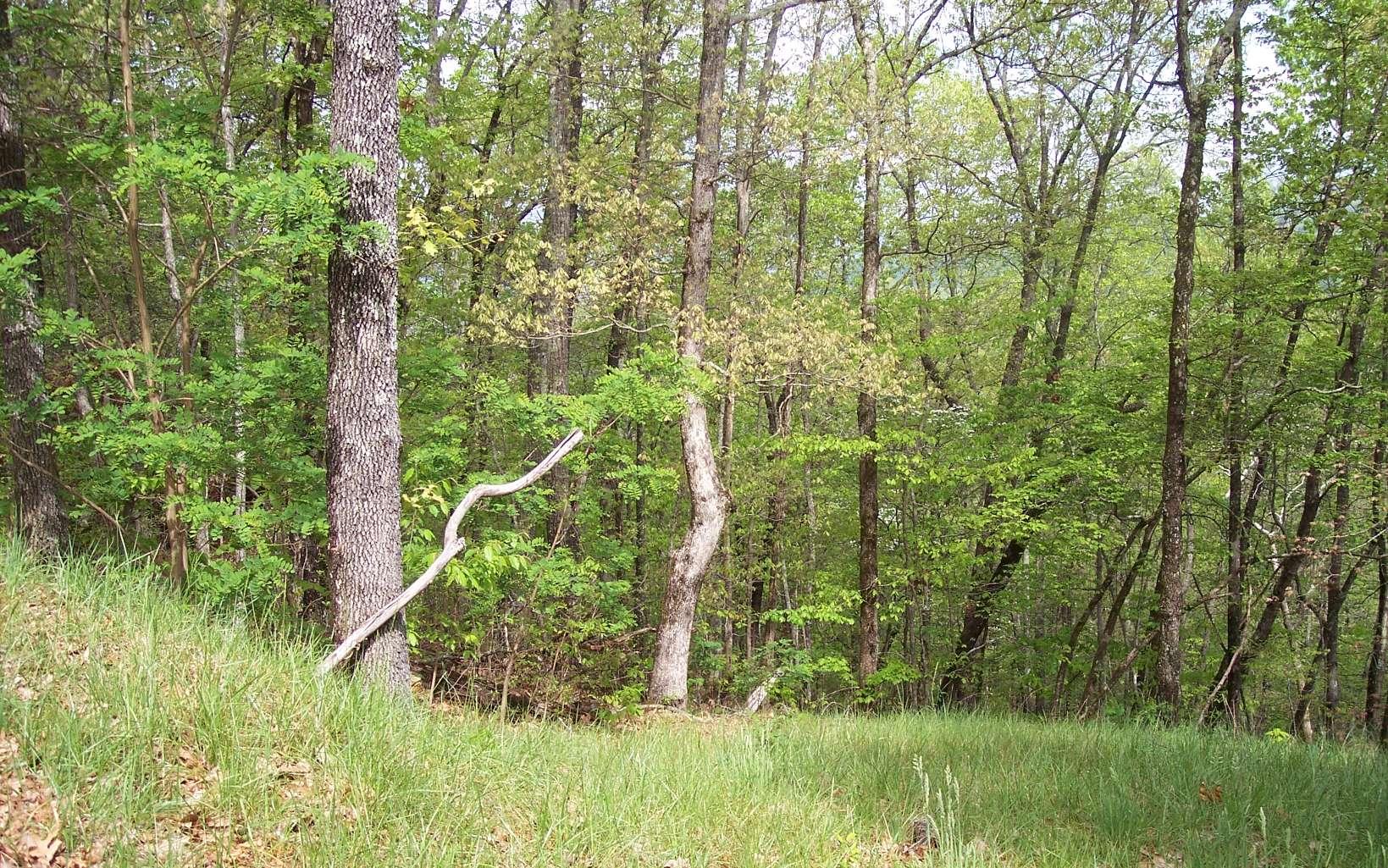 Image 4: Additional View