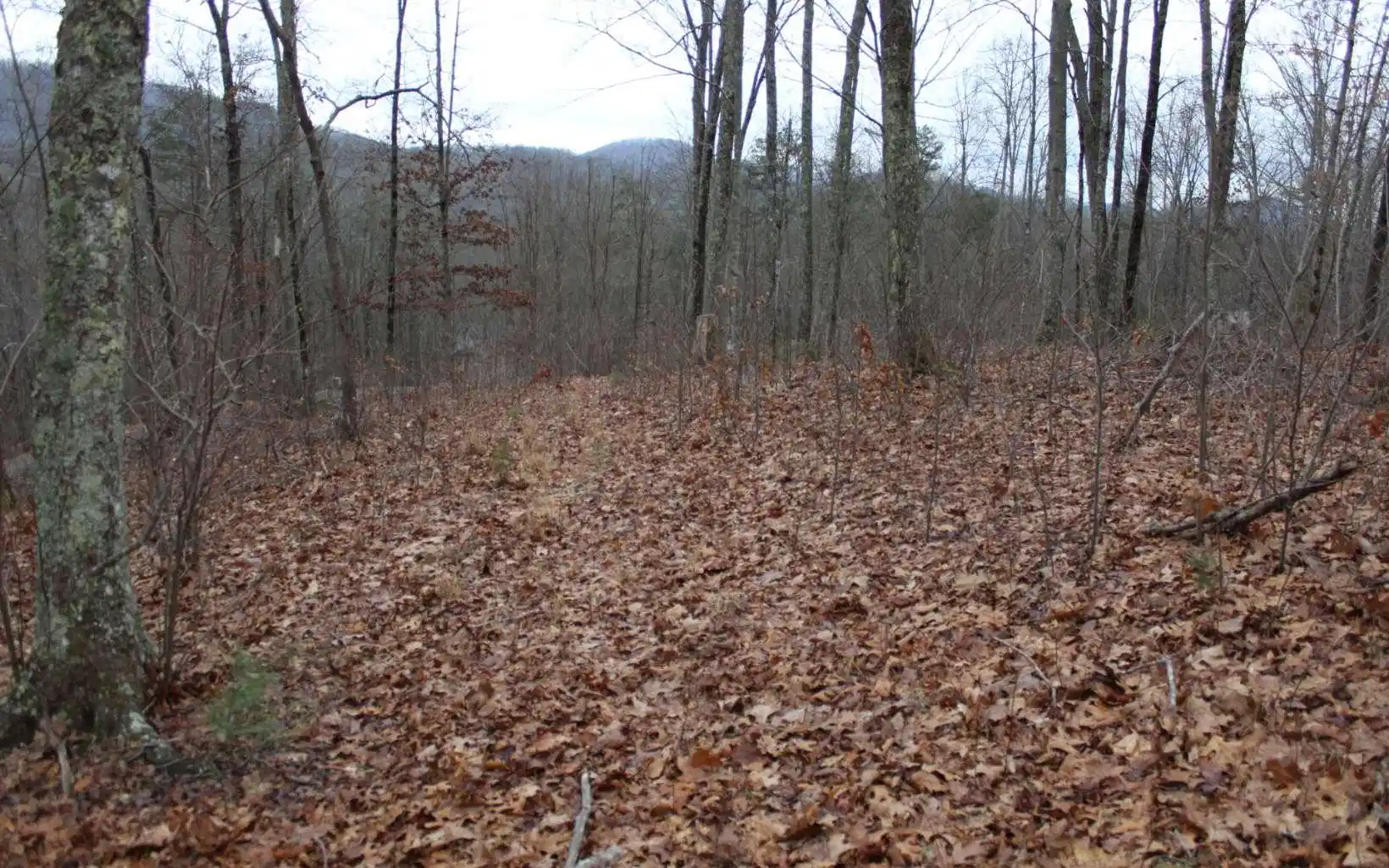 Image 1: Main View