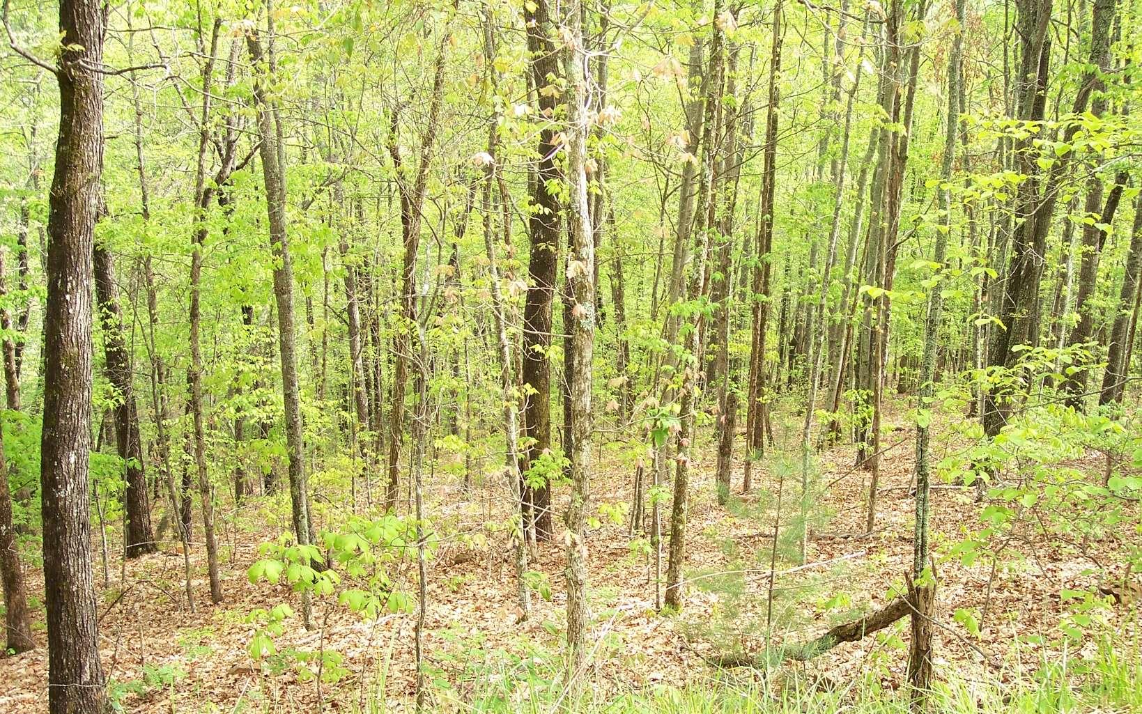 Image 3: Additional View