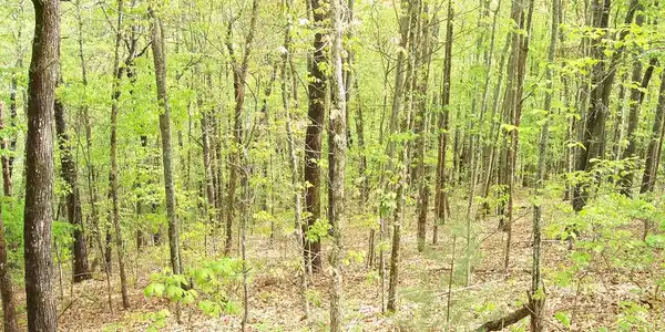 Image 3: Additional View