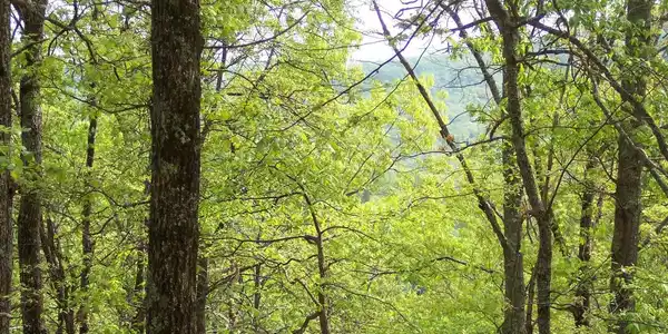 Image 4: Additional View