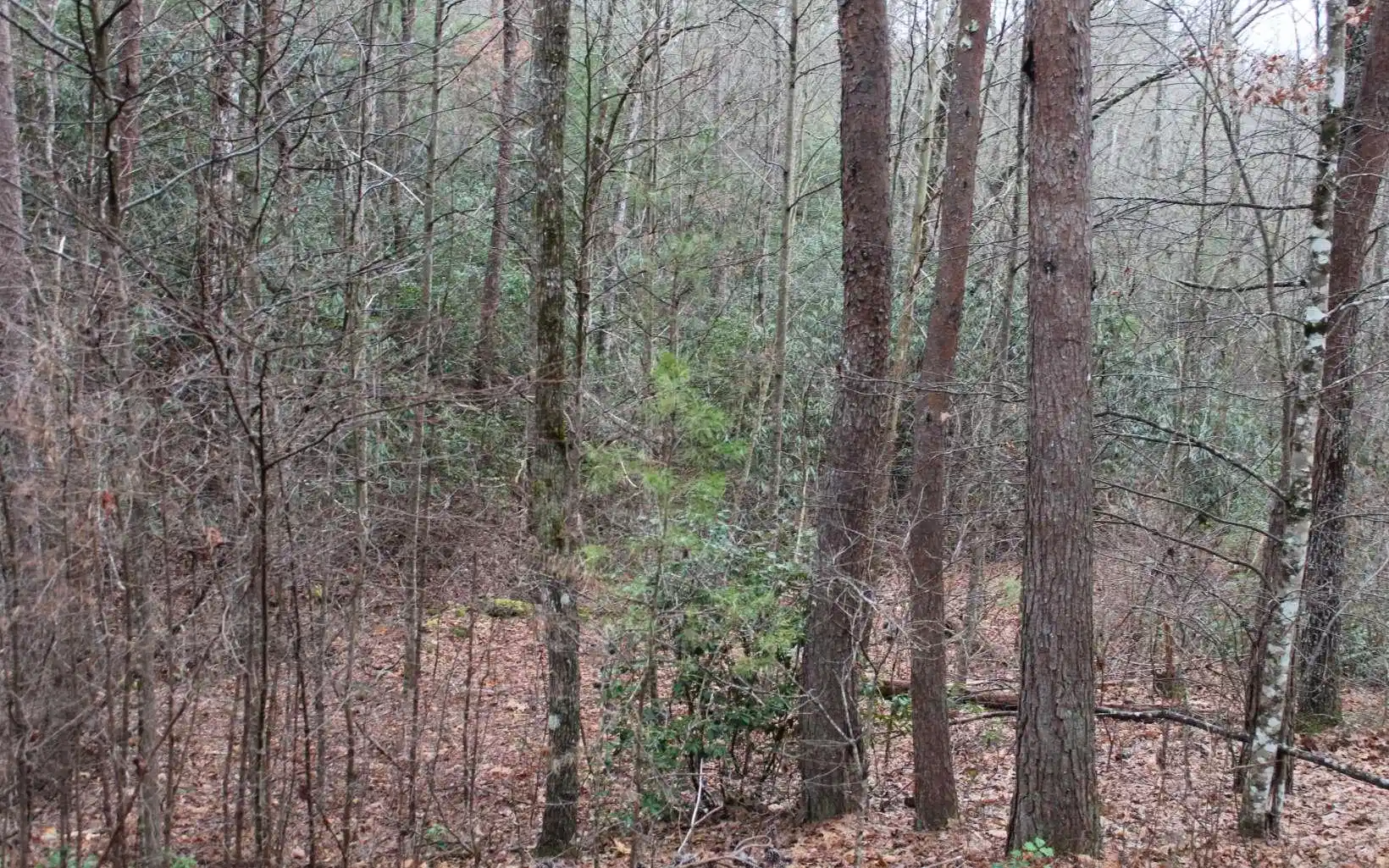 Image 1: Main View