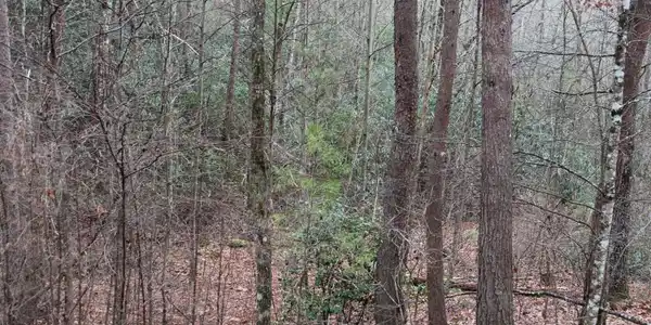 29 Coyote Cove