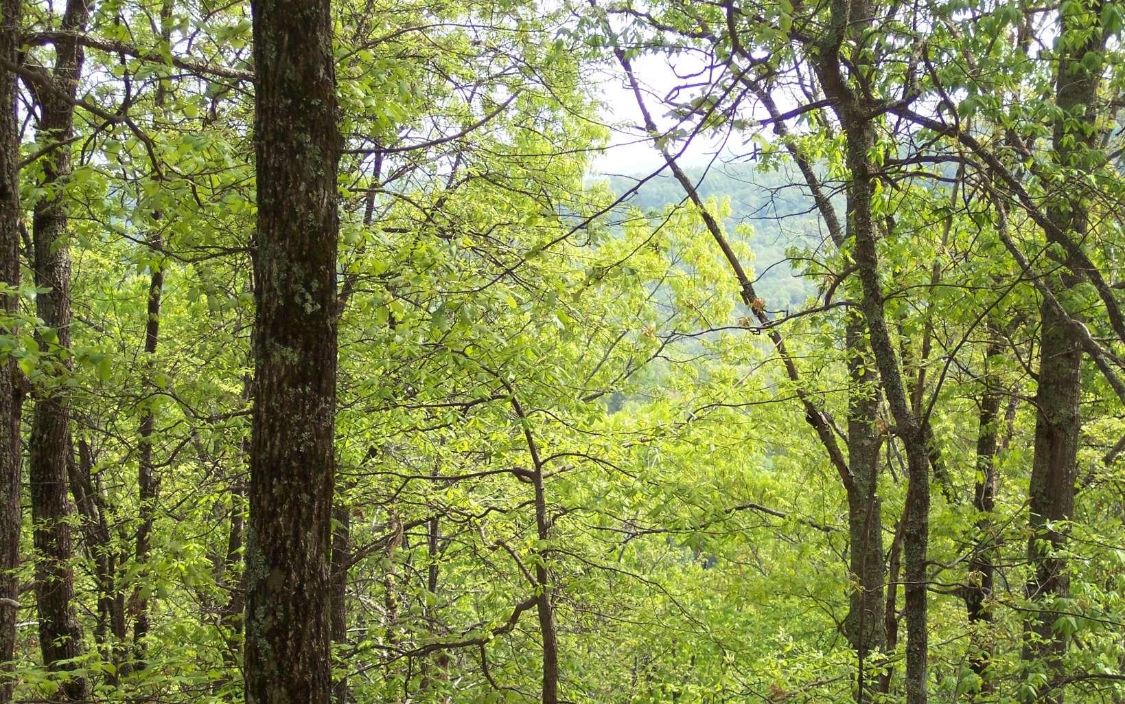 Image 4: Additional View