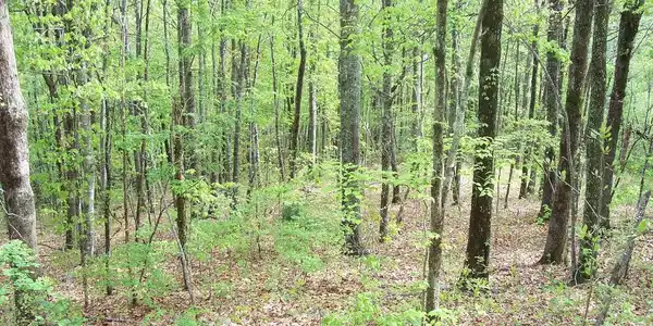 Image 4: Additional View