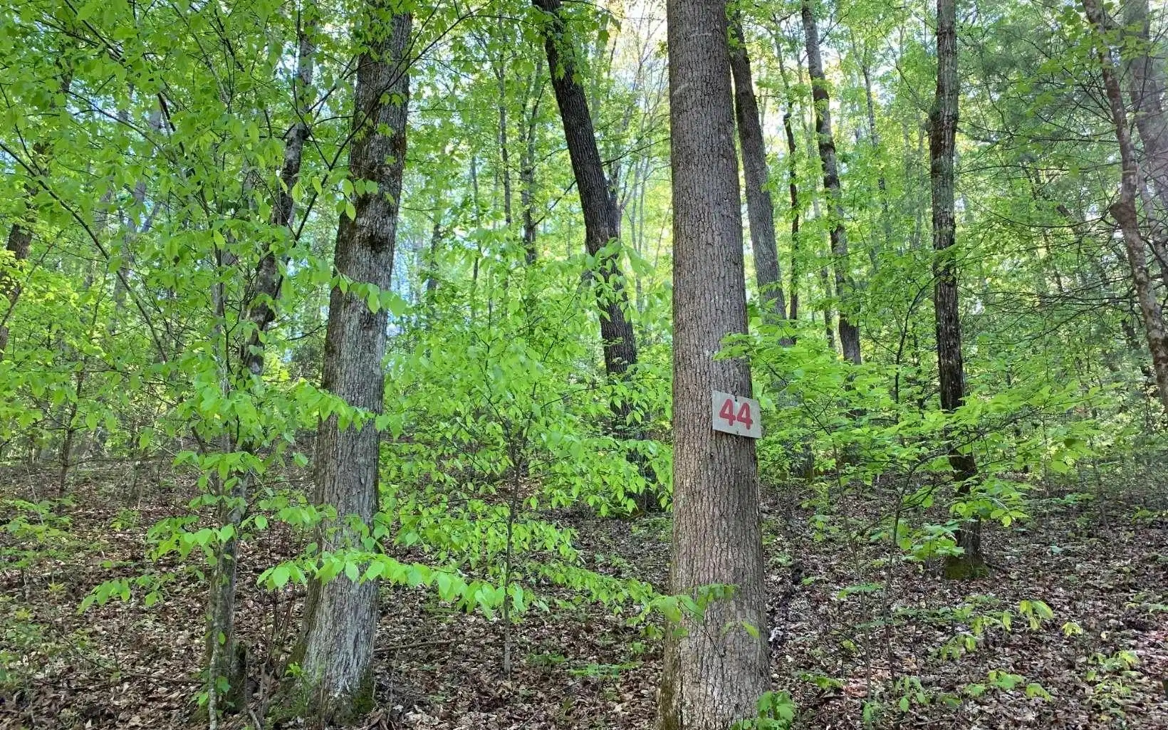 Image 1: Main View