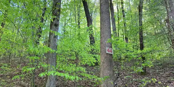 Lot 44 Fires Creek Cove Road