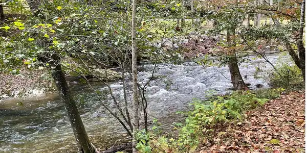 Image 2: Additional View