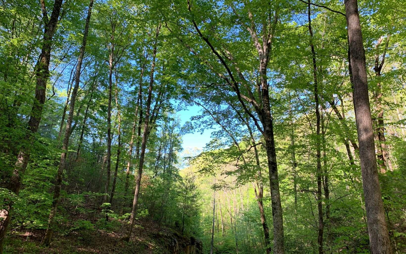 Image 4: Additional View