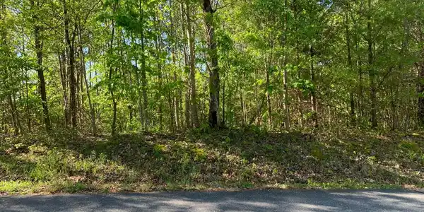Lot 57 Fires Creek Cove Road