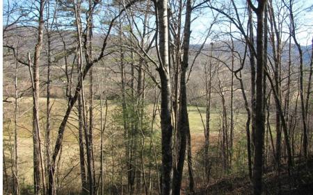 #39 Pinecrest Road