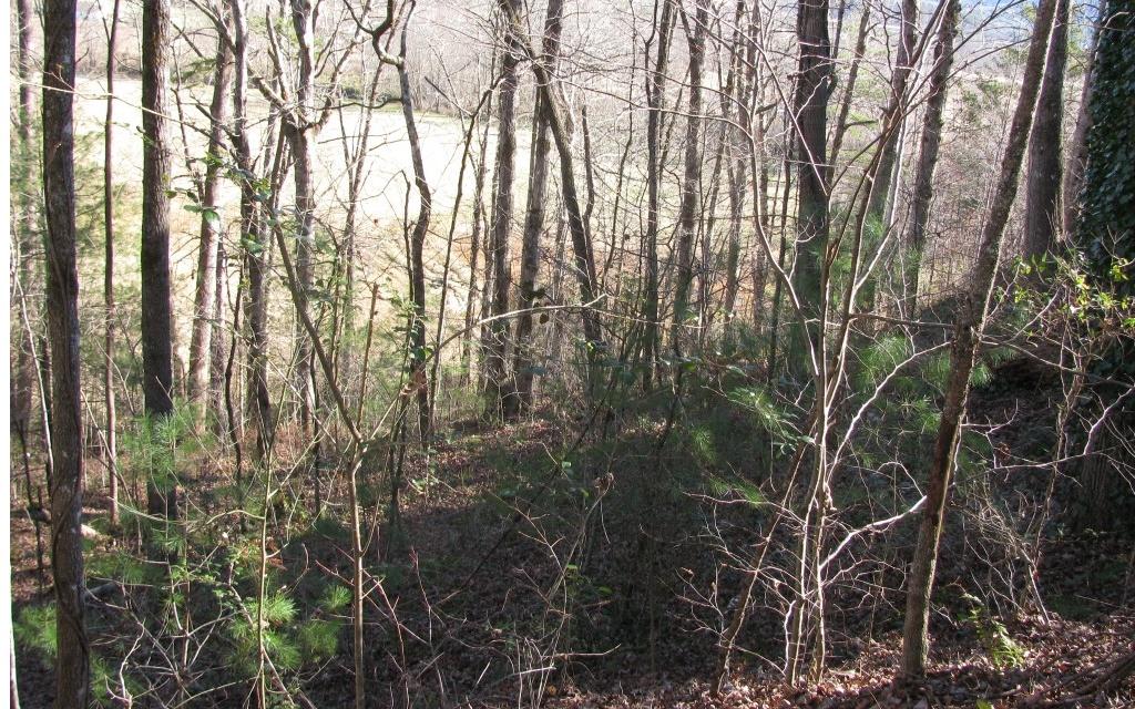 Image 2: Additional View
