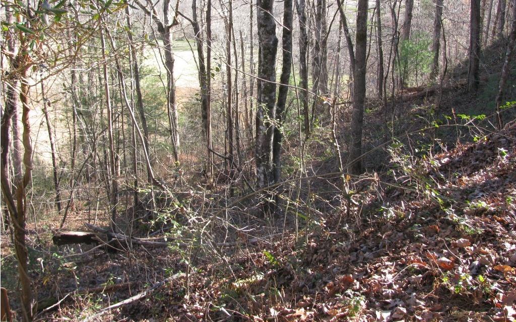 Image 3: Additional View