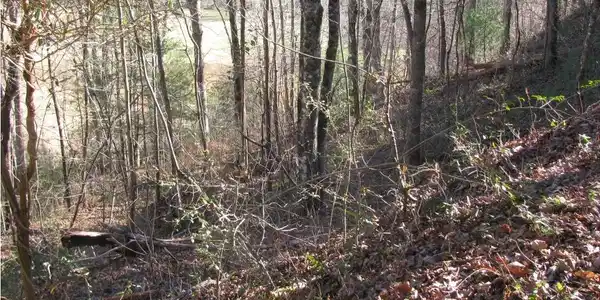 Image 3: Additional View