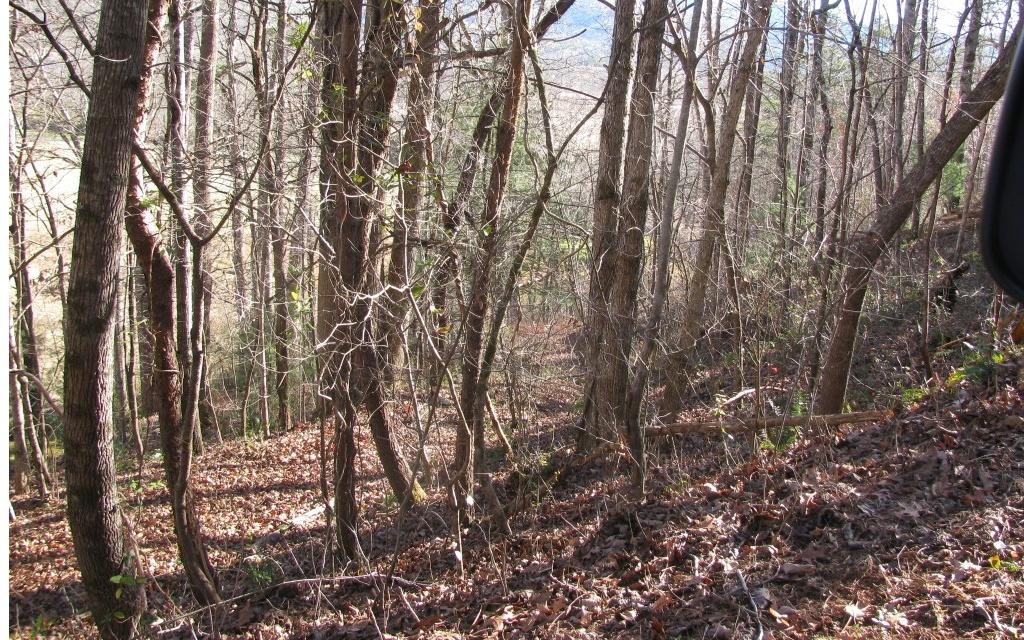 Image 4: Additional View