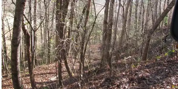Image 4: Additional View