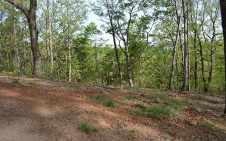 Lot 19 North Ridge Trail