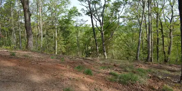 Lot 19 North Ridge Trail